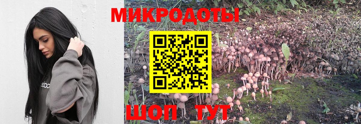 Галлюциногенные грибы Psilocybine cubensis Кимры